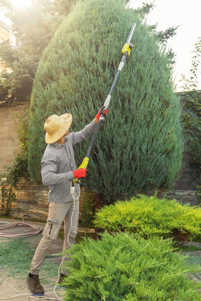 Best Leaf Removal  in Tresckow, PA